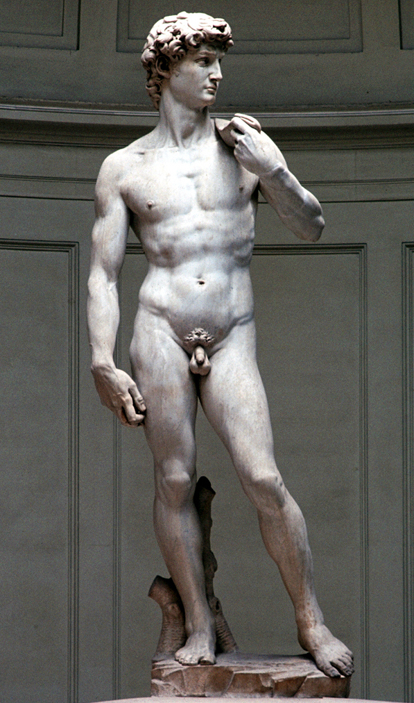 Michelangelo, David (front view) 1504.jpg