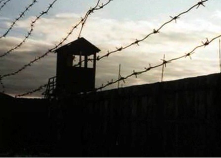Barbed wire enclosing a Russian gulag